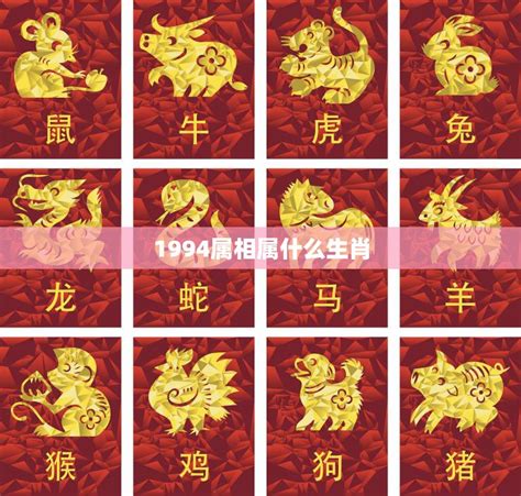 94年生肖|1994年属什么生肖 1994年出生是什么命